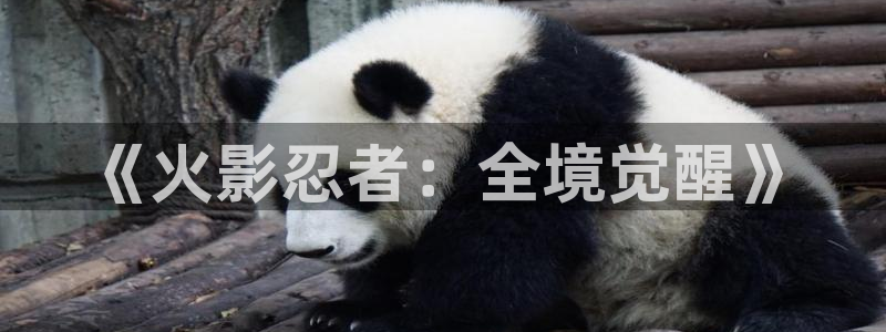 天堂漫画登录入口：《火影忍者：全境觉醒》